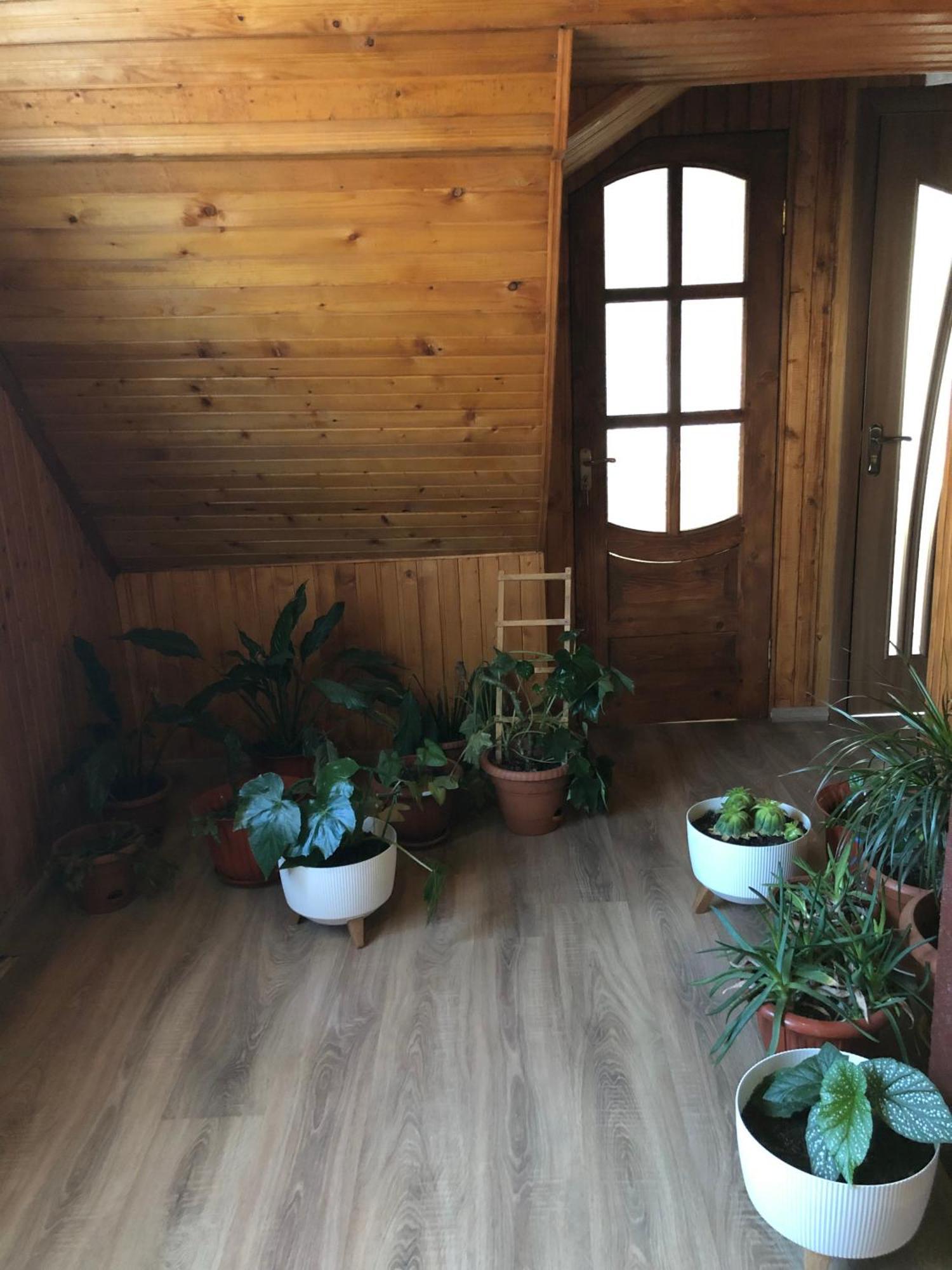 House Mold Villa Lazeshchyna Dış mekan fotoğraf